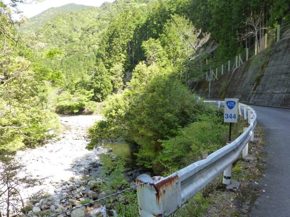 P1050034_mid.jpg