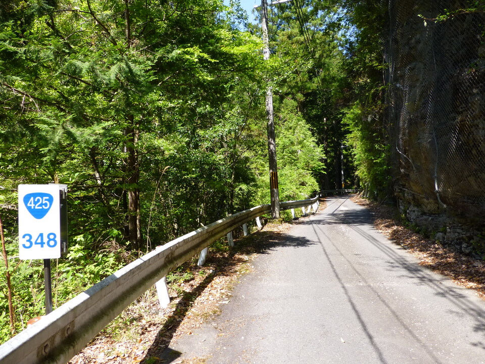 P1050035_mid.jpg