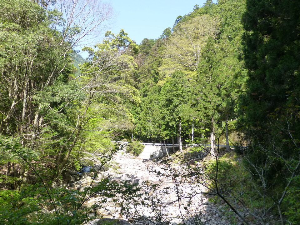 P1050037_mid.jpg