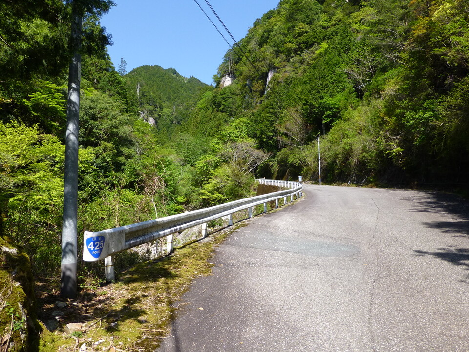 P1050040_mid.jpg