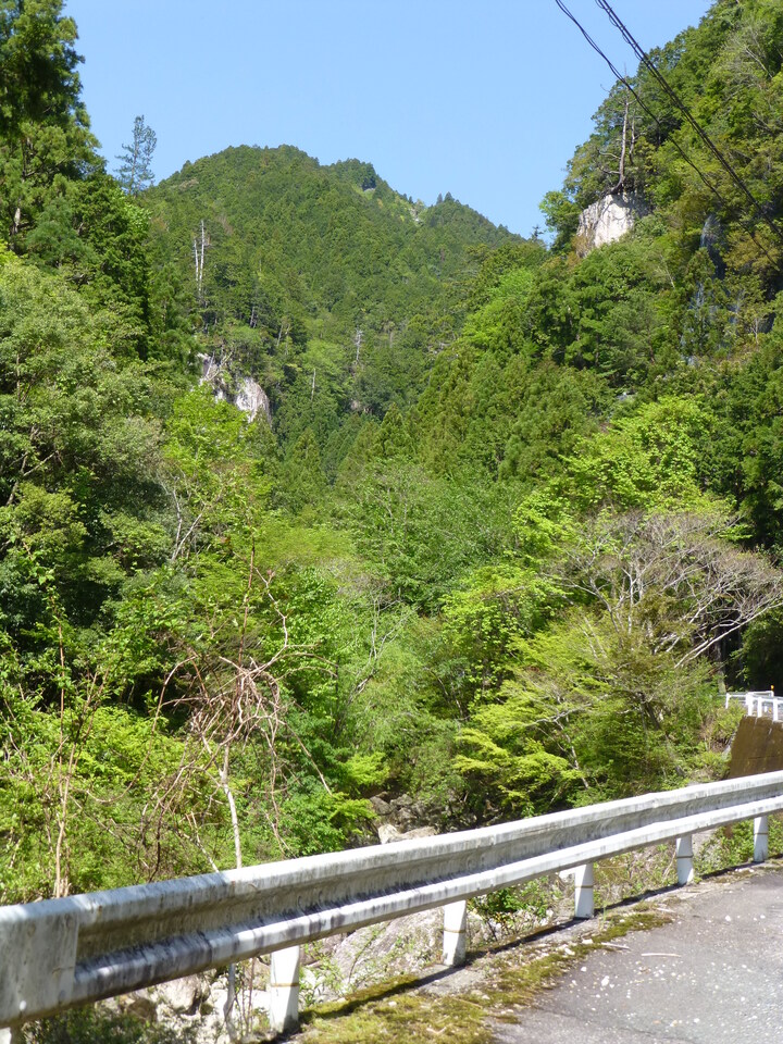 P1050041_mid.jpg