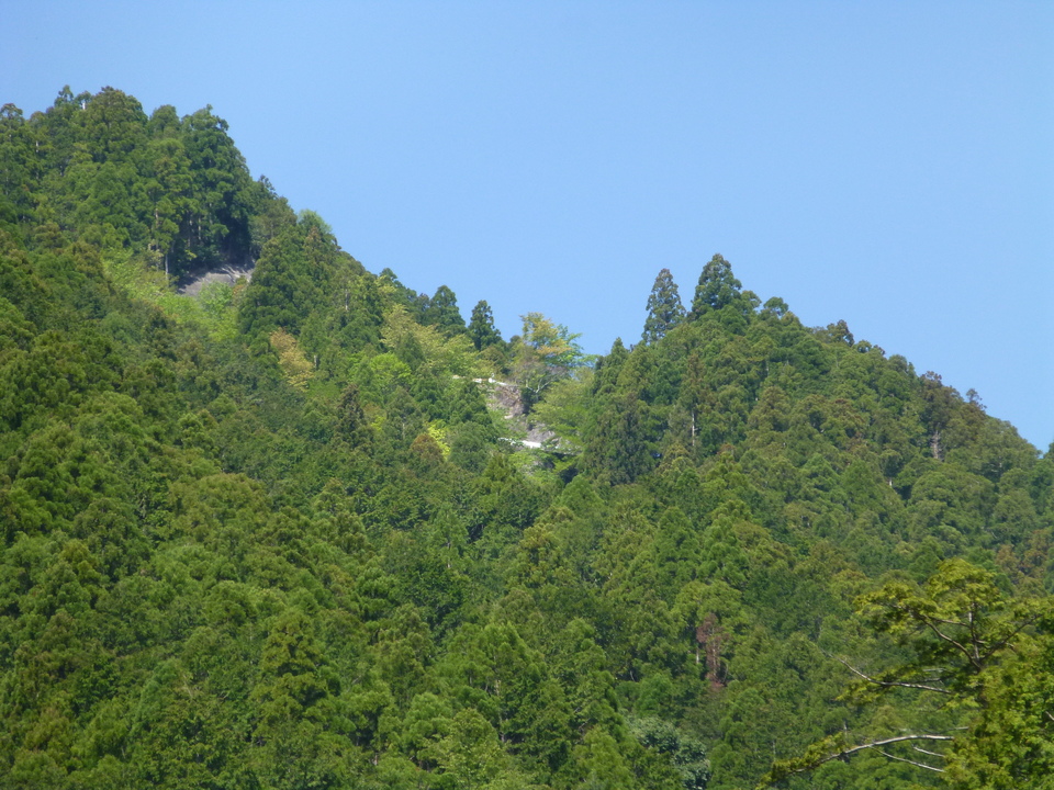 P1050042_mid.jpg