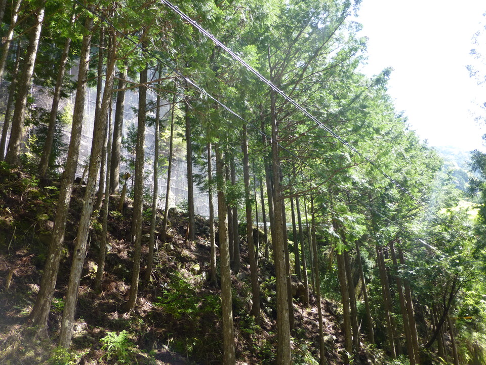 P1050044_mid.jpg
