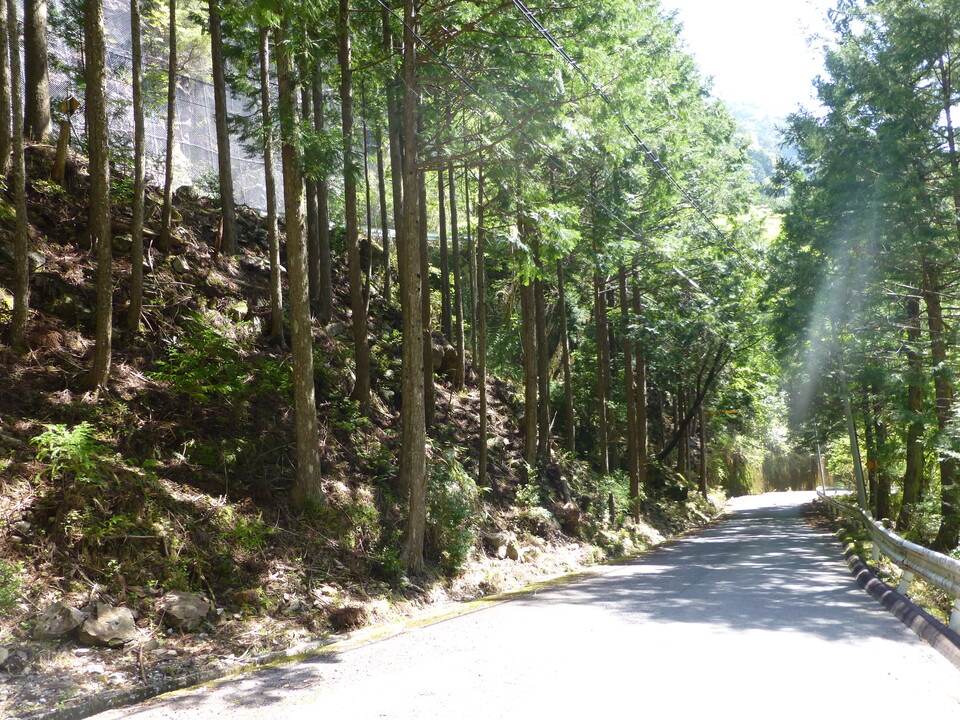 P1050045_mid.jpg