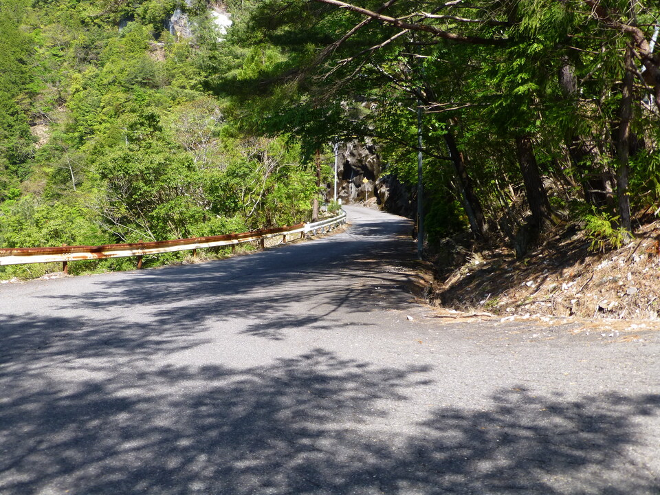 P1050047_mid.jpg