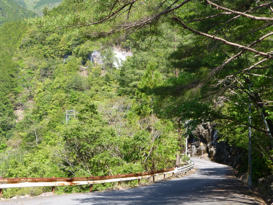 P1050048_mid.jpg