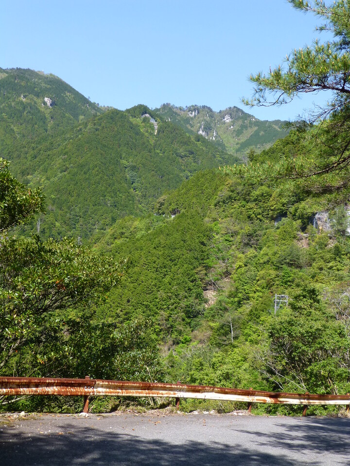 P1050049_mid.jpg