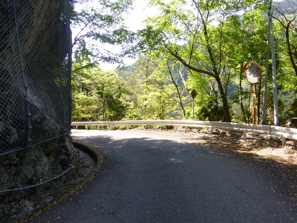 P1050051_mid.jpg