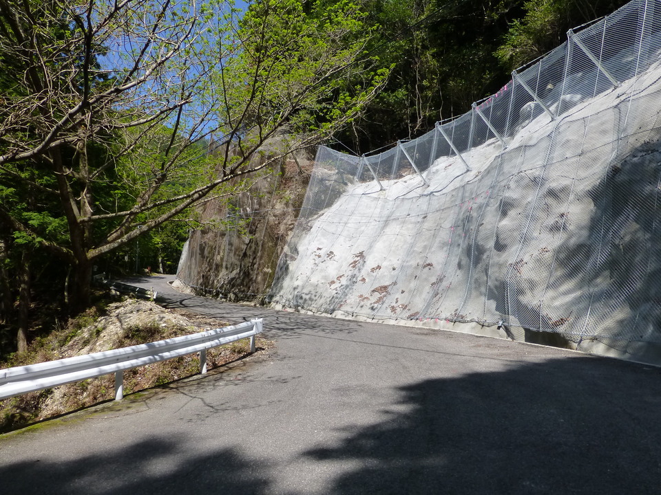 P1050054_mid.jpg