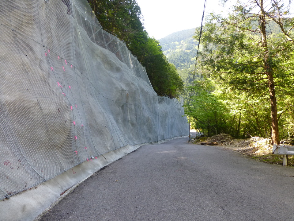 P1050055_mid.jpg