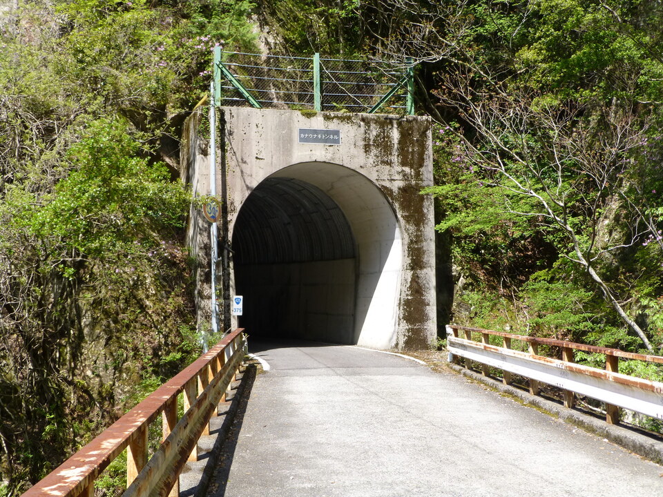 P1050056_mid.jpg