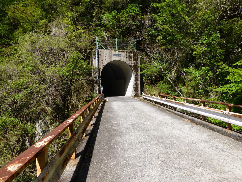 P1050057_mid.jpg
