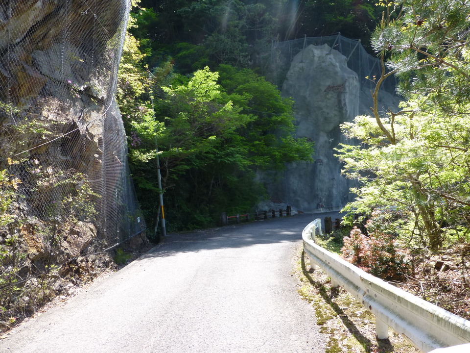 P1050058_mid.jpg