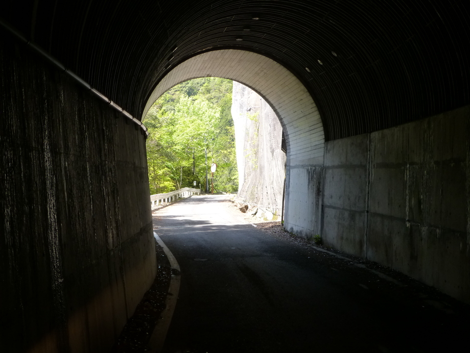 P1050059_mid.jpg