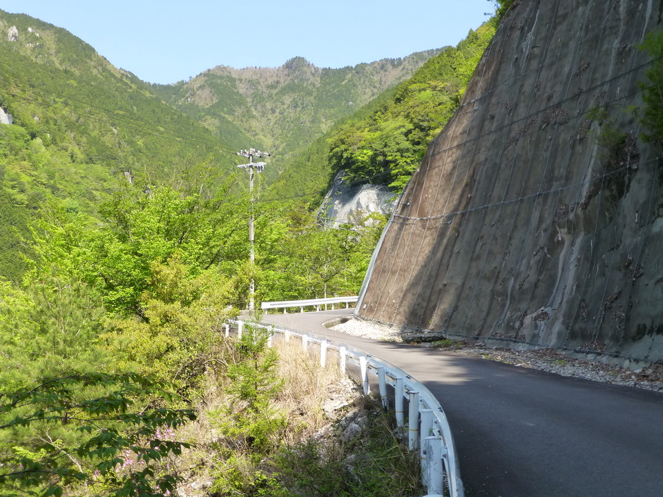 P1050061_mid.jpg