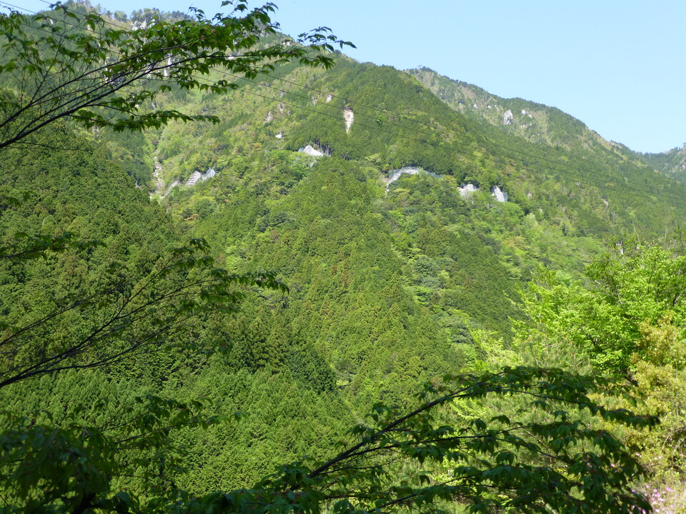 P1050062_mid.jpg