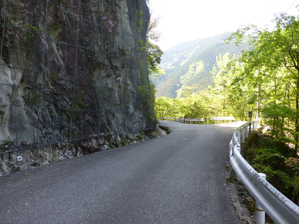 P1050063_mid.jpg