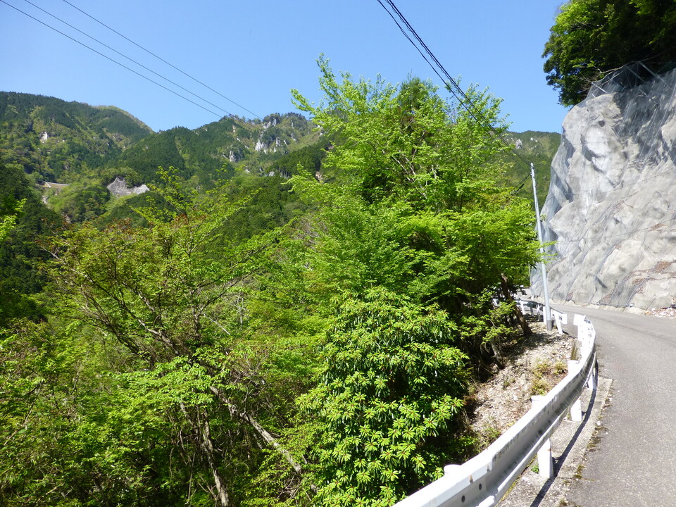 P1050064_mid.jpg