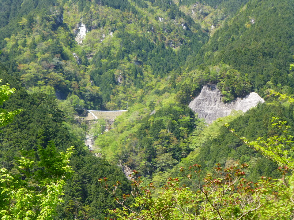 P1050065_mid.jpg