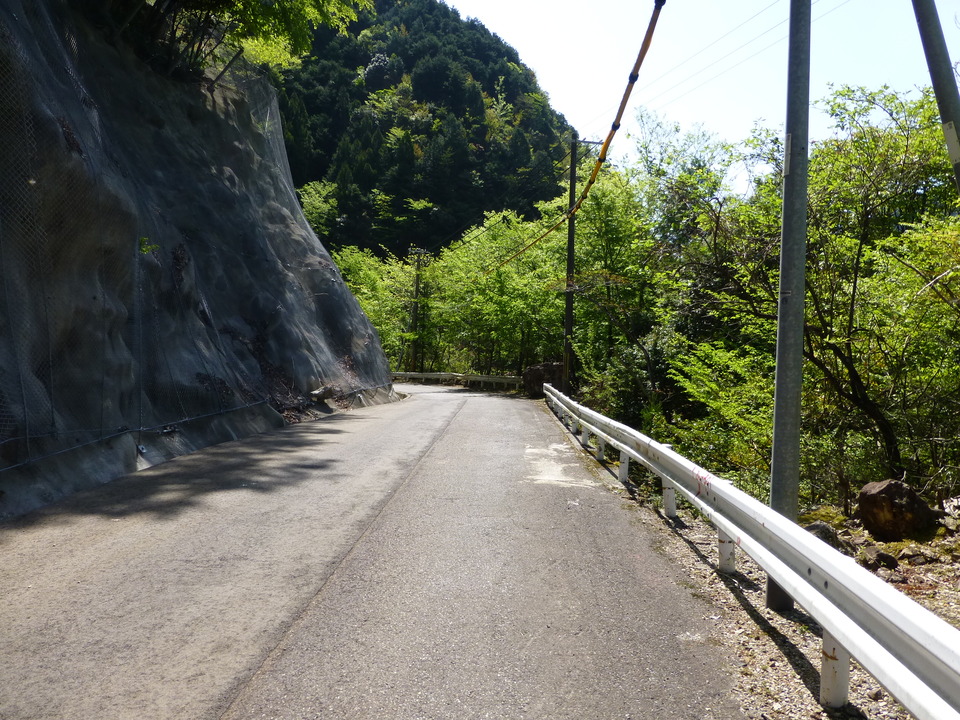 P1050066_mid.jpg