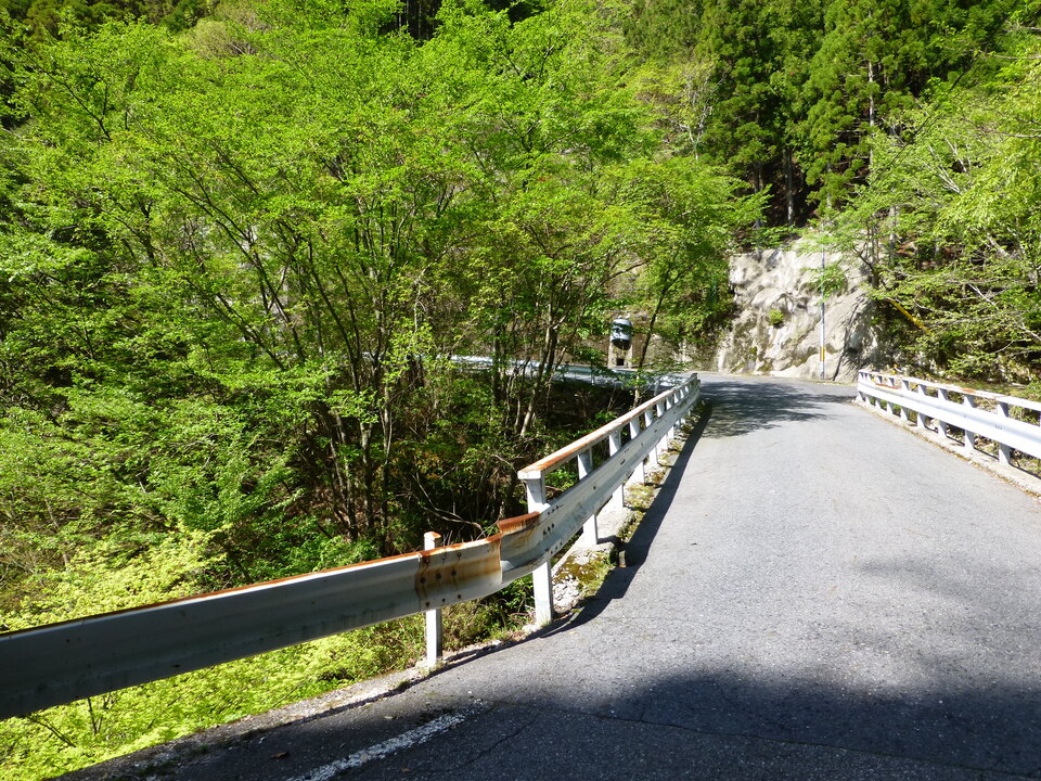 P1050067_mid.jpg