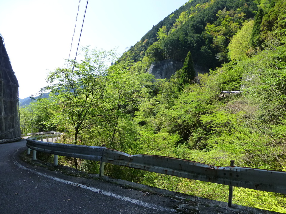 P1050068_mid.jpg