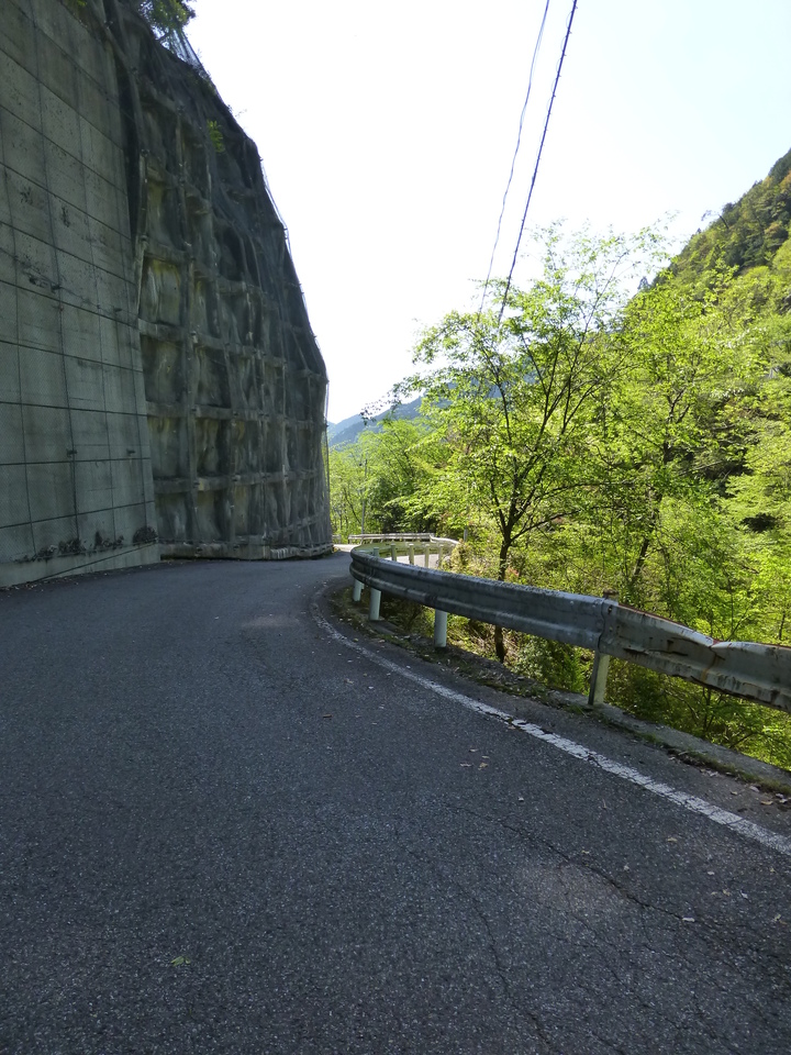 P1050069_mid.jpg