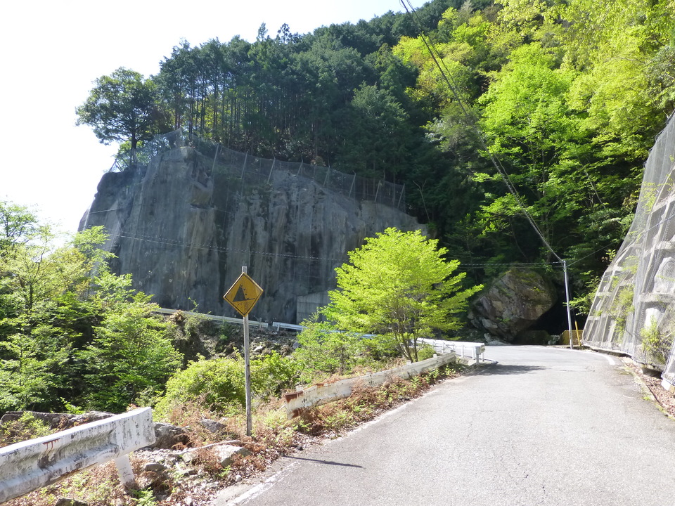 P1050070_mid.jpg