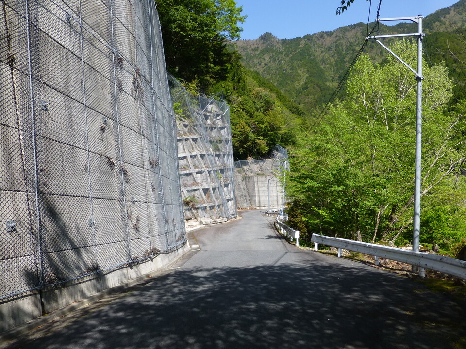 P1050073_mid.jpg