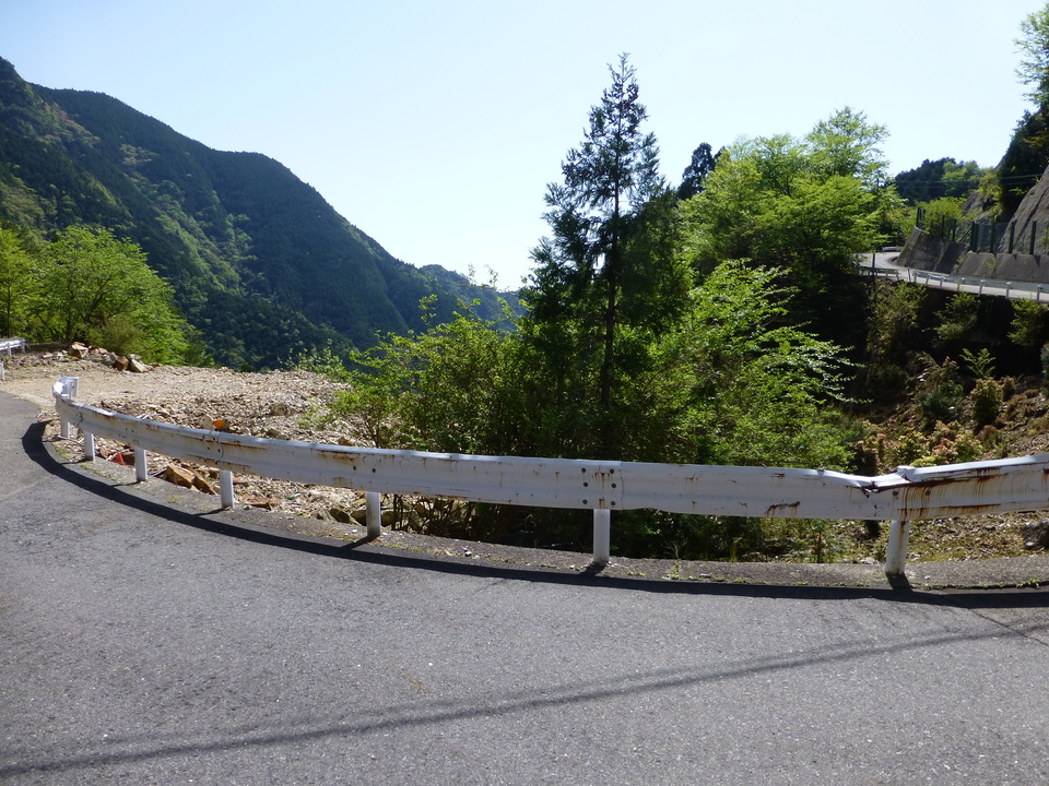 P1050076_mid.jpg