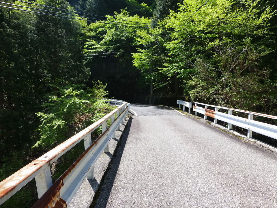P1050077_mid.jpg