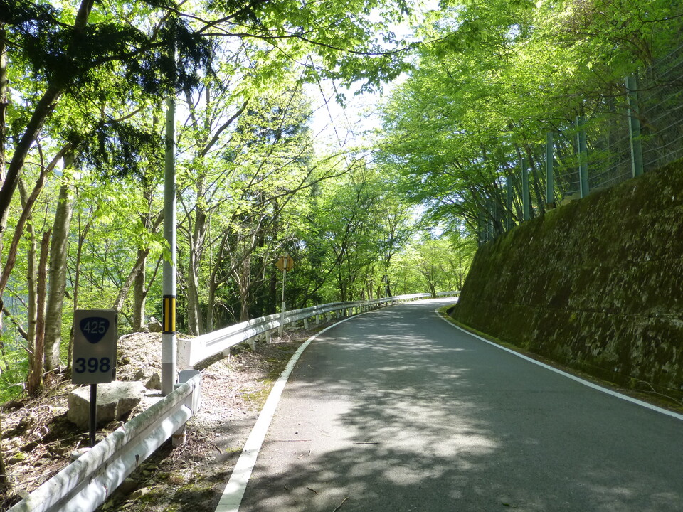 P1050080_mid.jpg
