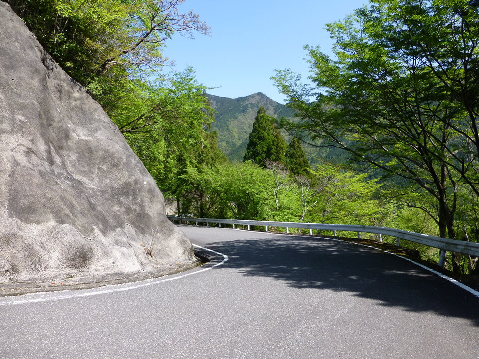 P1050083_mid.jpg