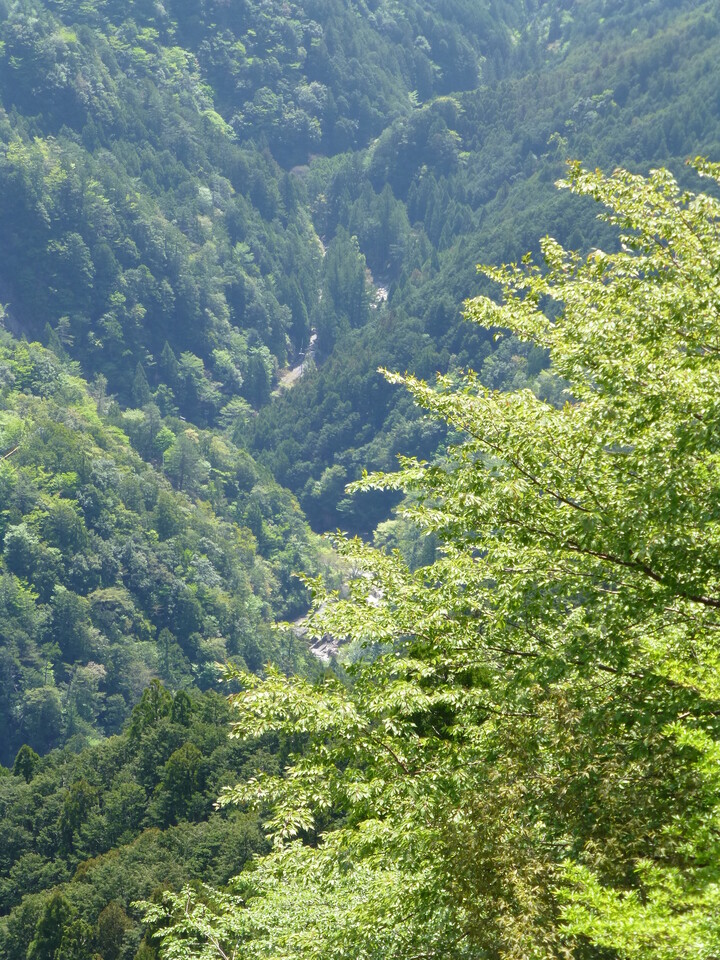 P1050089_mid.jpg