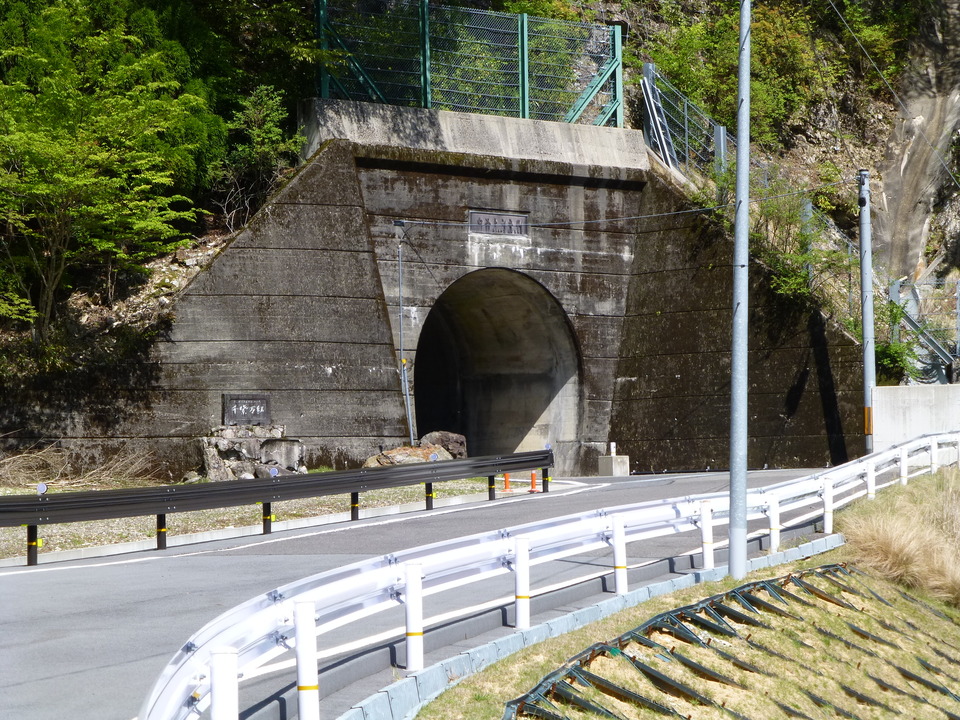 P1050093_mid.jpg
