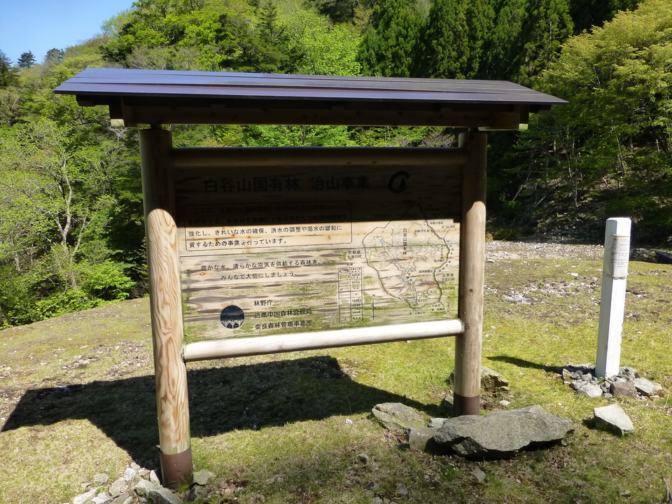 P1050101_mid.jpg