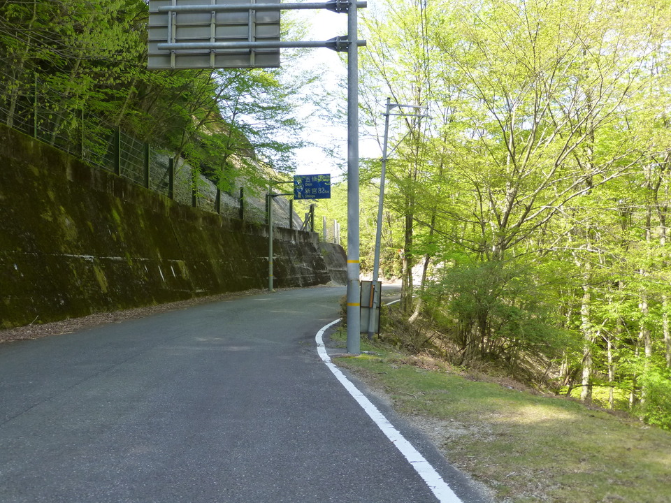 P1050102_mid.jpg