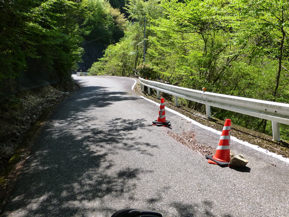 P1050107_mid.jpg