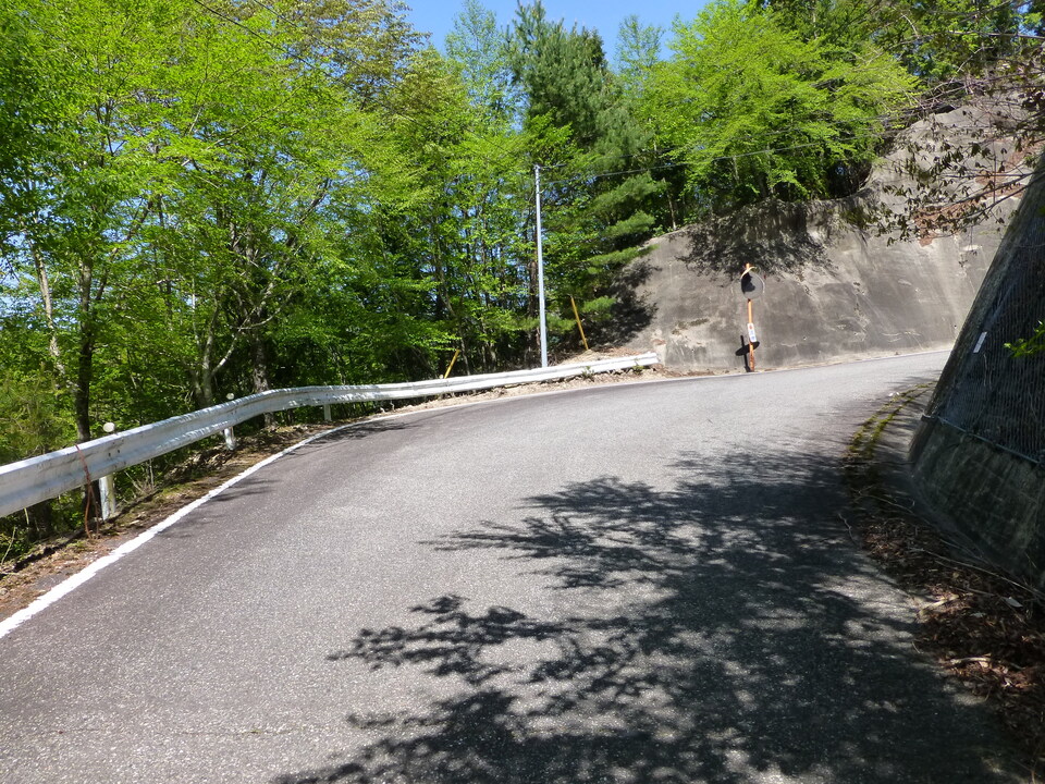 P1050108_mid.jpg