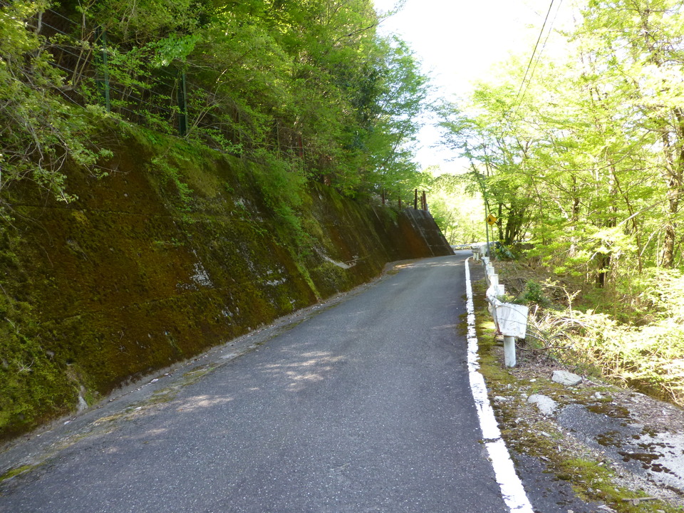 P1050111_mid.jpg