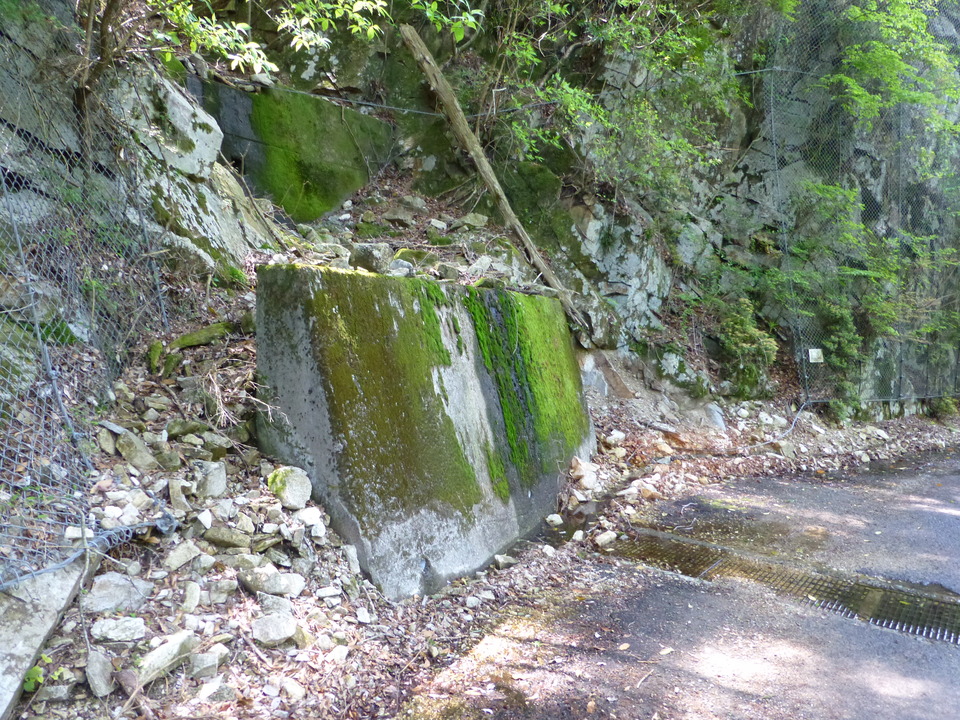P1050114_mid.jpg