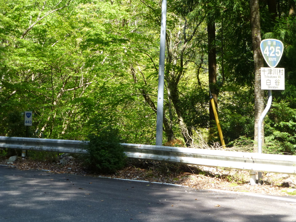 P1050117_mid.jpg
