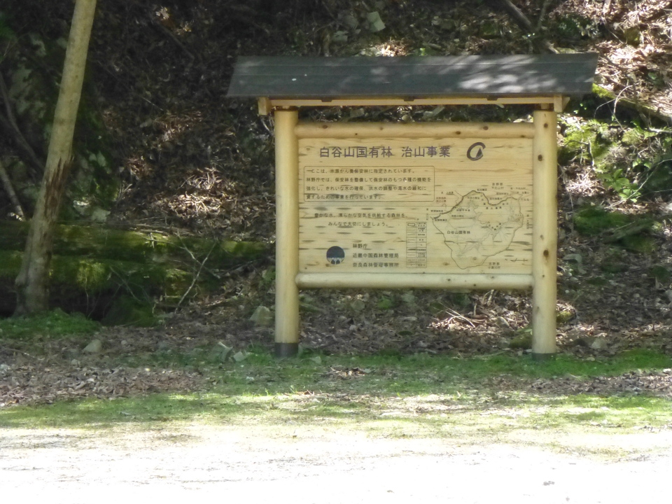 P1050119_mid.jpg