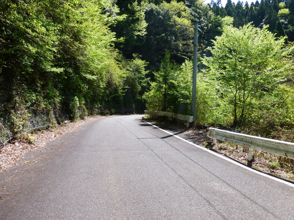 P1050124_mid.jpg