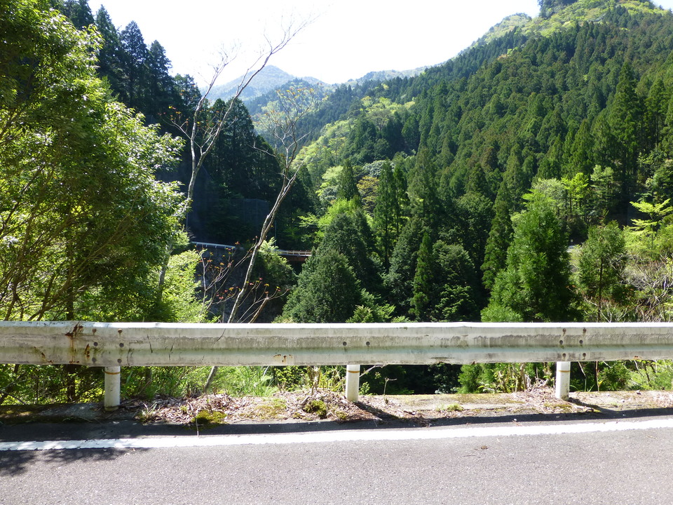 P1050125_mid.jpg