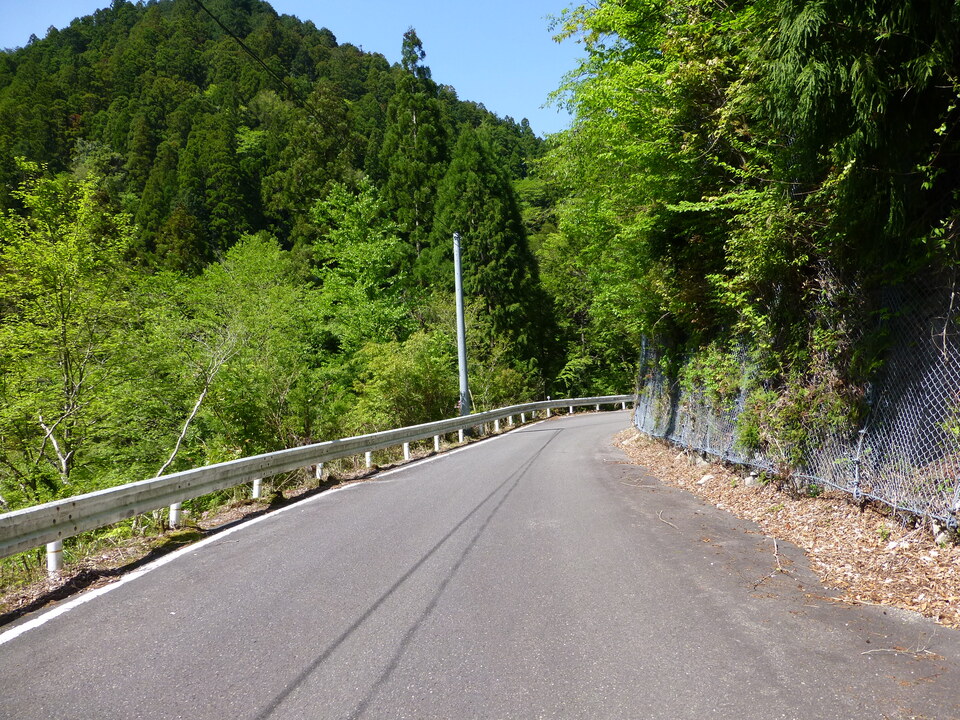 P1050126_mid.jpg