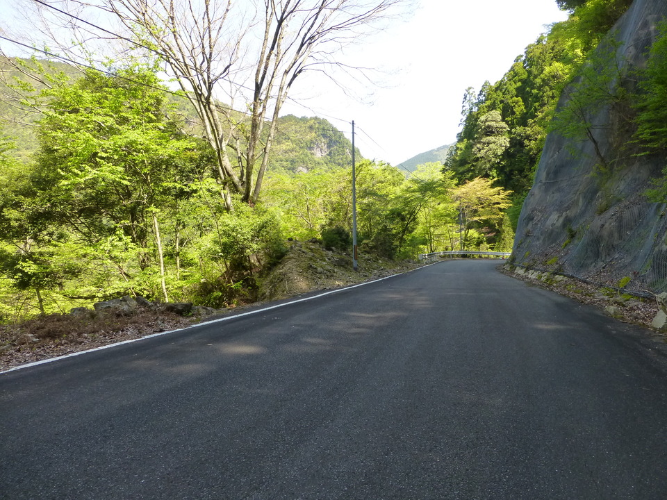 P1050128_mid.jpg