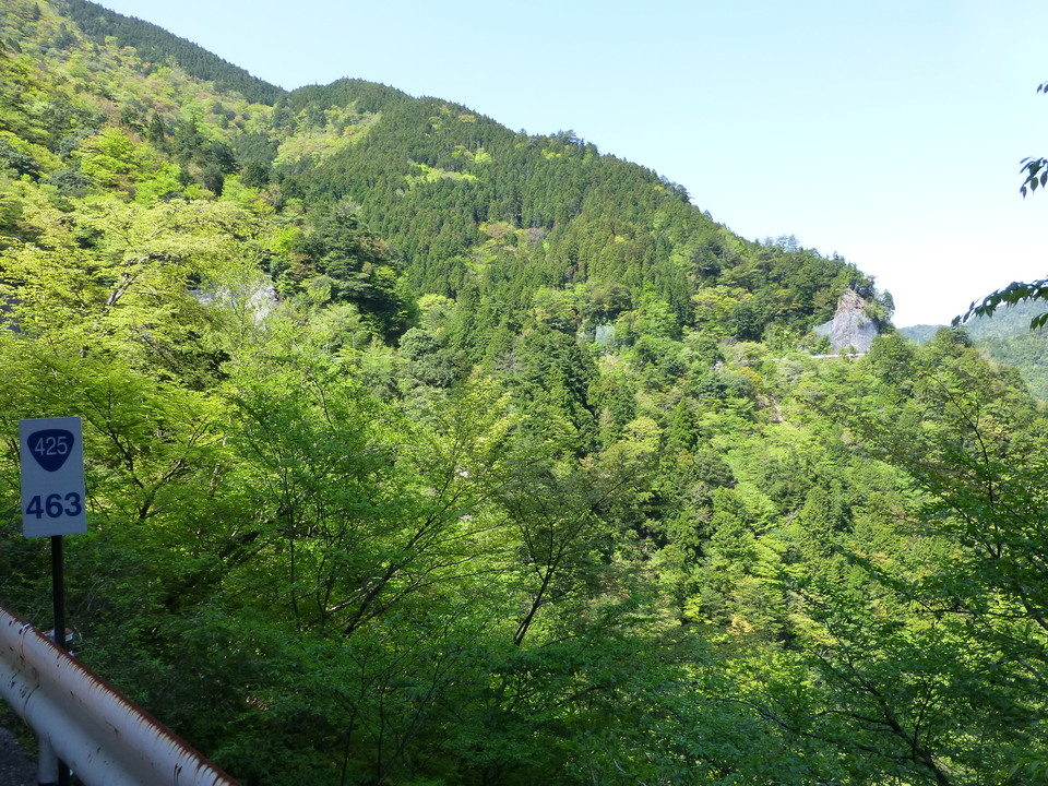 P1050130_mid.jpg