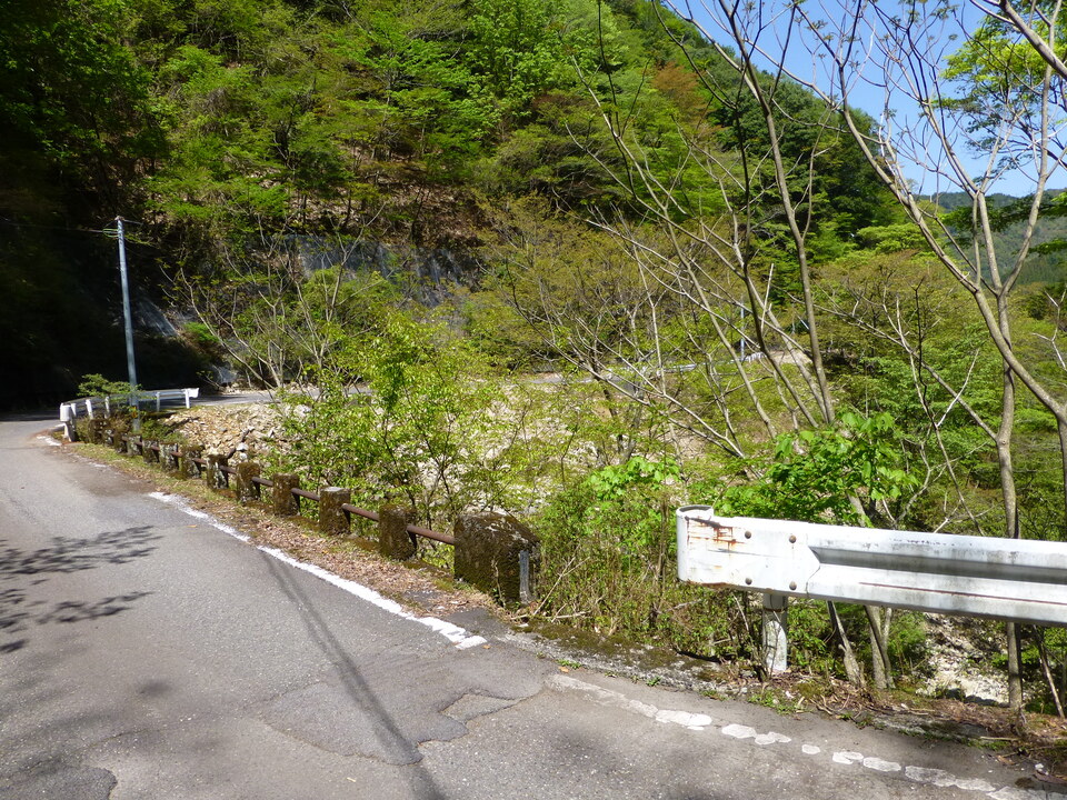 P1050133_mid.jpg