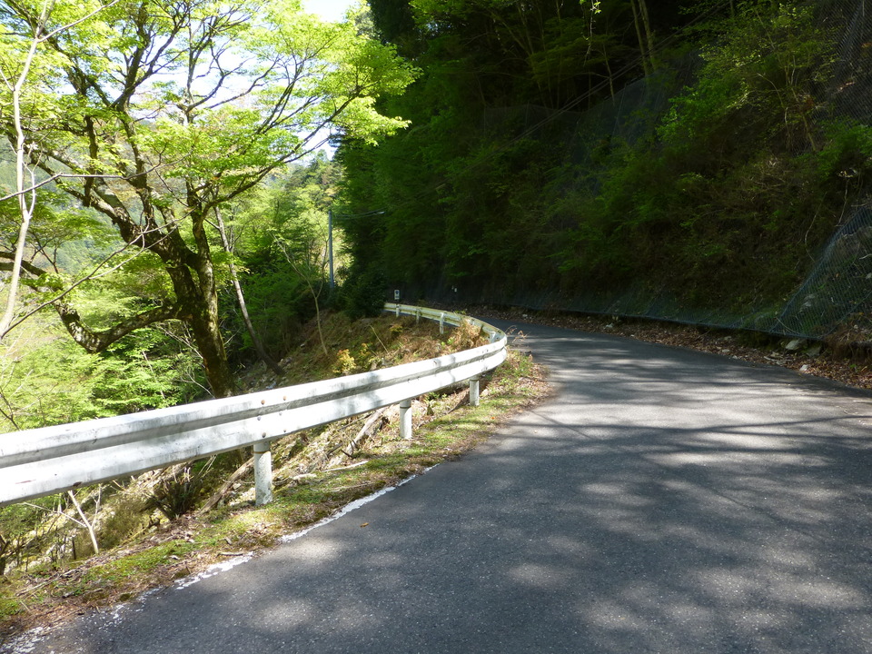 P1050134_mid.jpg